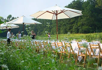 A long dining table in the middle of a meadowy field