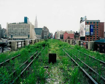 Railway tracks overgrown with weeds on New York City’s high line, before it was redeveloped